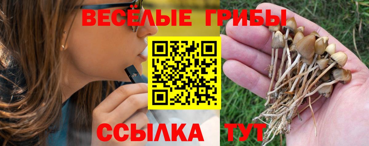 Троицк  Псилоцибиновые грибы Psilocybine cubensis  Вход с VPN 